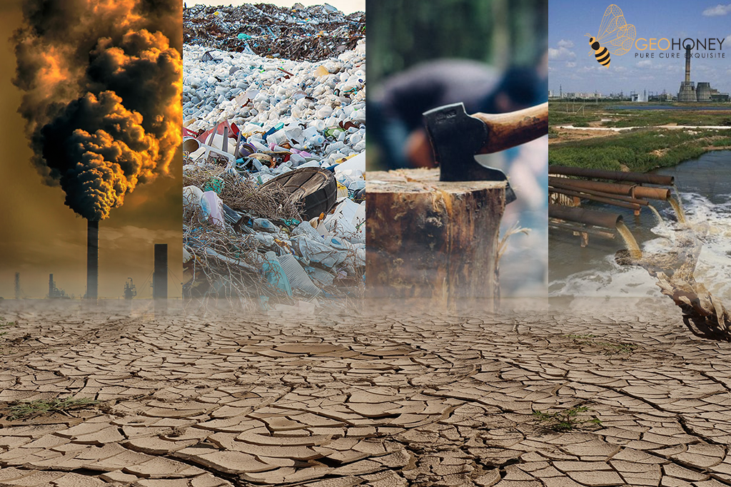 Climate Change Reasons Which Show Humans Cause It Geohoney